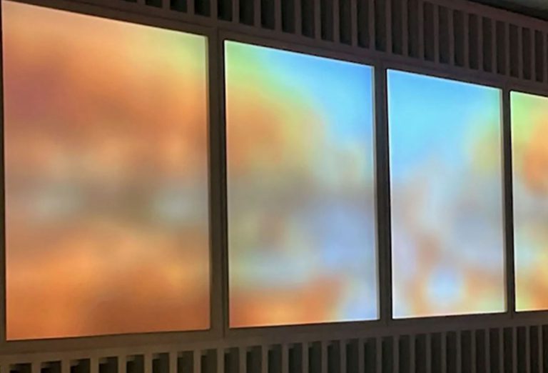 Phil Spitler and Victoria Mara Heilweil, Natura, 2023