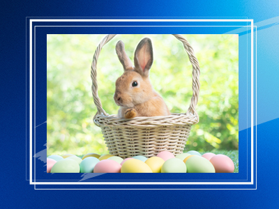 bunny in easter basket