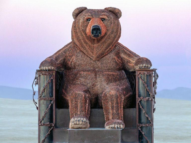 lincoln bear