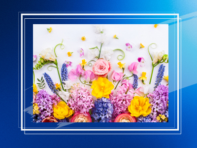 spring flowers