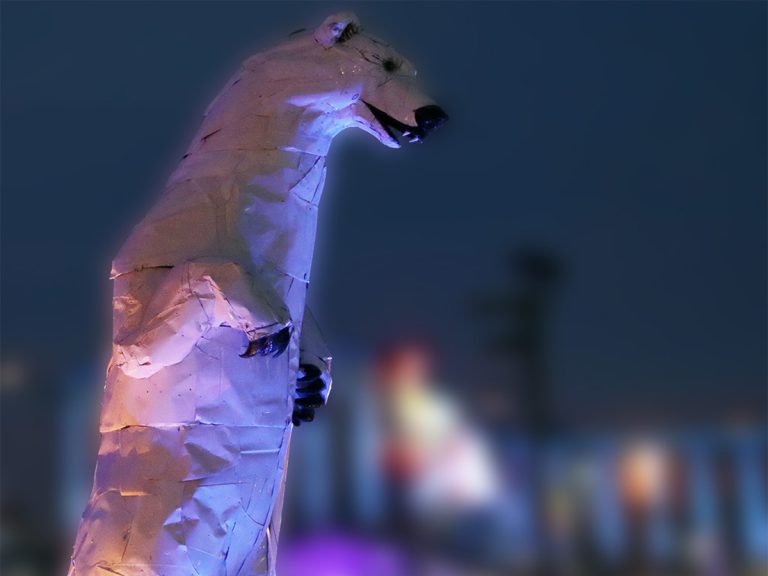 polar bear