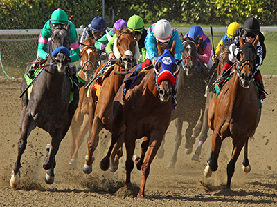 horse race